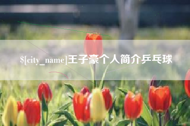 莱州王子豪个人简介乒乓球