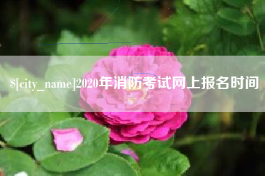莱州2020年消防考试网上报名时间