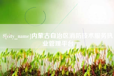 莱州内蒙古自治区消防技术服务执业管理平台