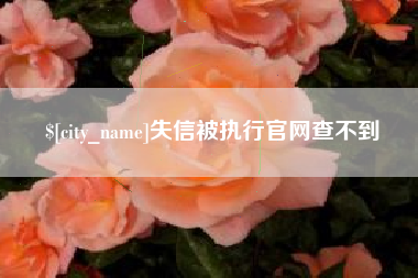 莱州失信被执行官网查不到