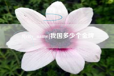 莱州我国多少个金牌