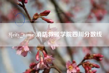 莱州消防救援学院四川分数线