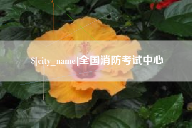 莱州全国消防考试中心