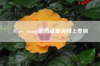 莱州消防证查询网上查询