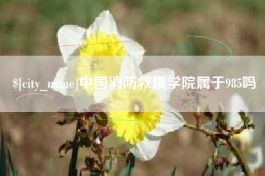 莱州中国消防救援学院属于985吗