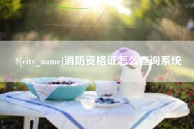 莱州消防资格证怎么查询系统