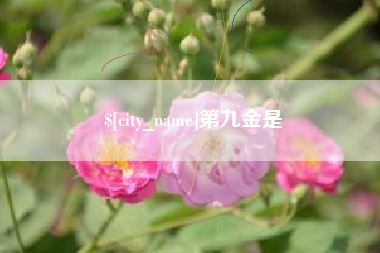 莱州第九金是