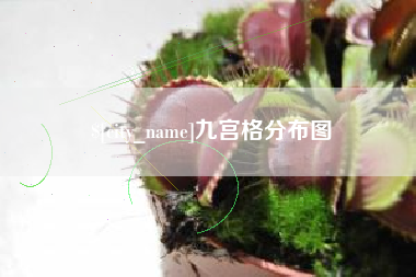 莱州九宫格分布图
