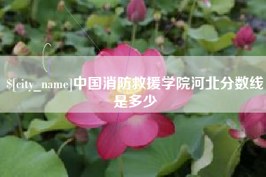莱州中国消防救援学院河北分数线是多少