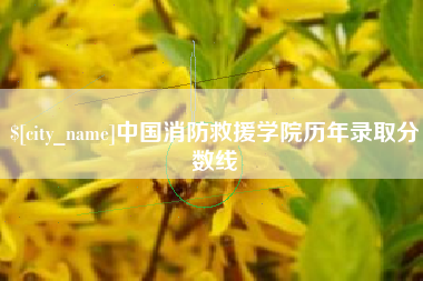 莱州中国消防救援学院历年录取分数线
