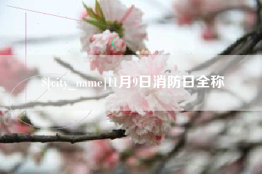 莱州11月9日消防日全称