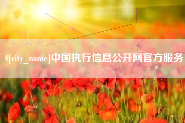 莱州中国执行信息公开网官方服务