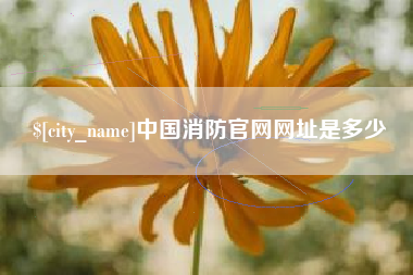 莱州中国消防官网网址是多少