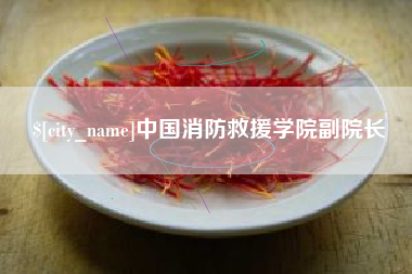 莱州中国消防救援学院副院长