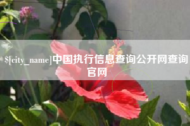莱州中国执行信息查询公开网查询官网