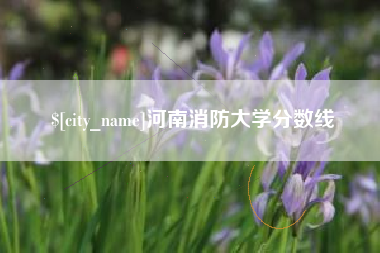 莱州河南消防大学分数线