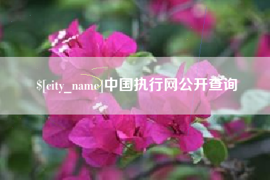 莱州中国执行网公开查询