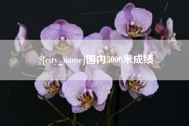 莱州国内5000米成绩