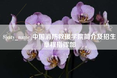 莱州中国消防救援学院简介及招生章程指挥部