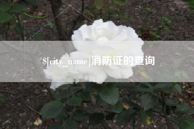 莱州消防证的查询