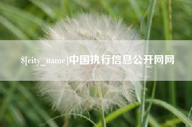 莱州中国执行信息公开网网