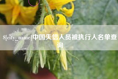 莱州中国失信人员被执行人名单查询