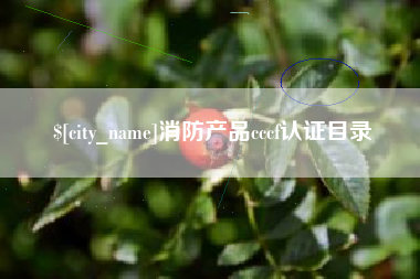 莱州消防产品cccf认证目录