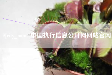 莱州中国执行信息公开网网站官网