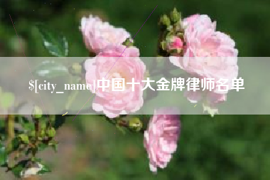 莱州中国十大金牌律师名单