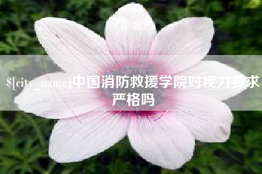 莱州中国消防救援学院对视力要求严格吗