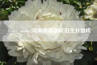 莱州河南消防学校招生分数线