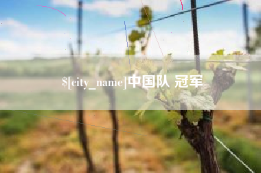 莱州中国队 冠军