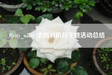 莱州全国消防日主题活动总结