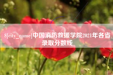 莱州中国消防救援学院2021年各省录取分数线