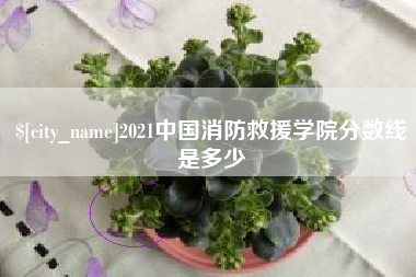 莱州2021中国消防救援学院分数线是多少