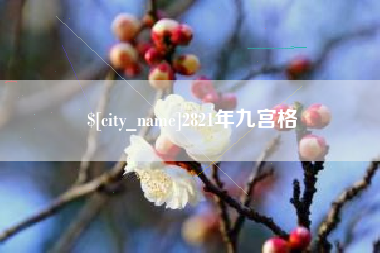 莱州2821年九宫格