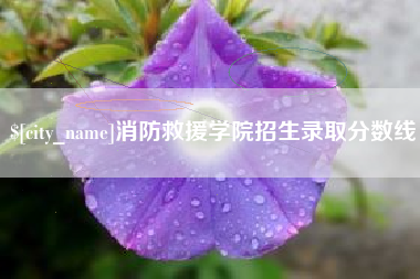 莱州消防救援学院招生录取分数线