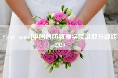 莱州中国消防救援学院录取分数线2020