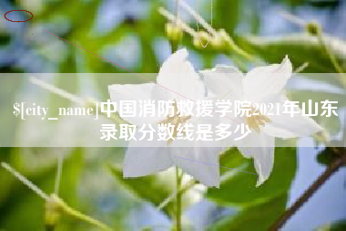 莱州中国消防救援学院2021年山东录取分数线是多少