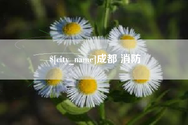莱州成都 消防
