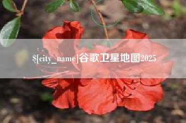 莱州谷歌卫星地图2025
