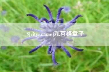 莱州九宫格盘子