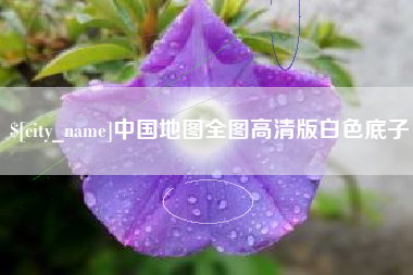 莱州中国地图全图高清版白色底子