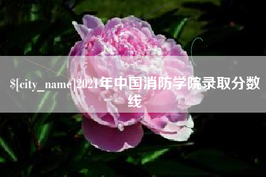 莱州2021年中国消防学院录取分数线
