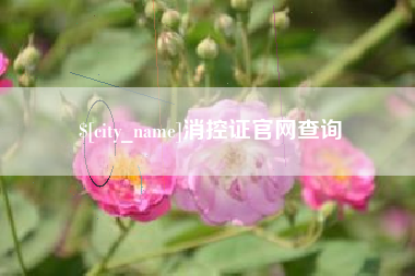 莱州消控证官网查询