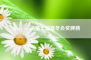 莱州第七届亚冬会奖牌榜