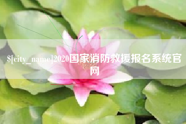莱州2020国家消防救援报名系统官网