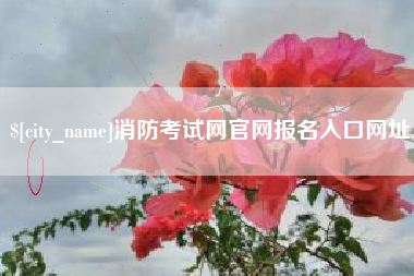莱州消防考试网官网报名入口网址