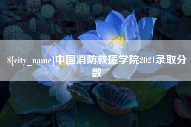 莱州中国消防救援学院2021录取分数