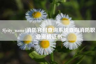 莱州消防官网查询系统查询消防职业资格证书